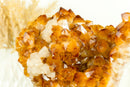 Gorgeous Natural Orange Citrine Flower Cluster with Citrine Crystal Druzy and Calcite, 10.5 In 7.5 Lb - E2D Crystals & Minerals