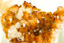 Gorgeous Natural Orange Citrine Flower Cluster with Citrine Crystal Druzy and Calcite, 10.5 In 7.5 Lb - E2D Crystals & Minerals