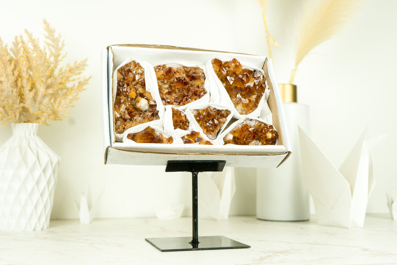 Wholesale Super Extra Quality Madeira Citrine Clusters Flat Box - Mineral Flat, Wholesale Bulk