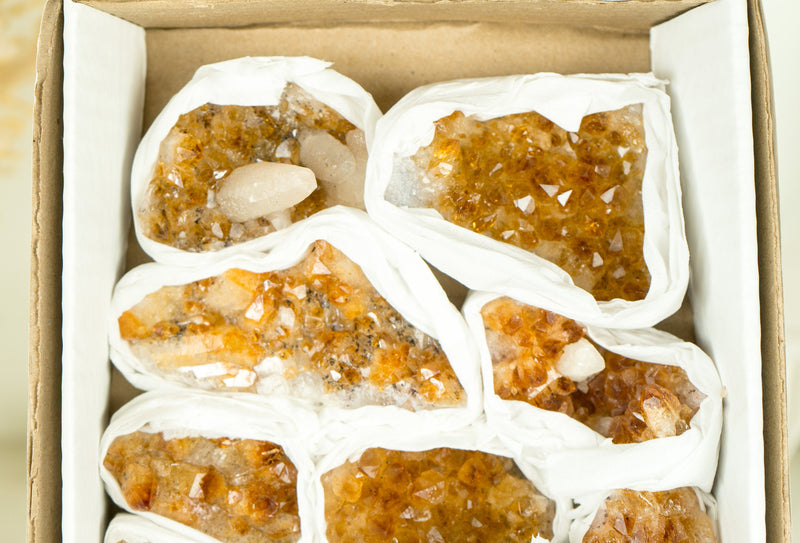 Wholesale Super Extra Quality Small Madeira Citrine Clusters Flat Box - Mineral Flat, Wholesale Bulk