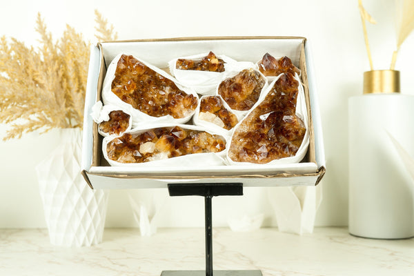 Wholesale Super Extra Quality Madeira Citrine Clusters Flat Box - Mineral Flat, Wholesale Bulk - 8 Clusters, 1.6 Kg - 3.5 lb - E2D Crystals & Minerals