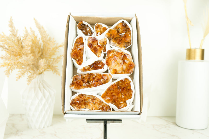 Wholesale AAA Deep Orange Citrine Clusters Flat Box - Mineral Flat, Wholesale Bulk - 11 Clusters, 1.5 Kg - 3.4 lb - E2D Crystals & Minerals