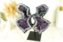 Gorgeous Amethyst Geode Butterfly Angel Wings with Purple Amethyst Druzy and Agate Matrix