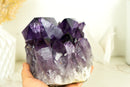 Natural Grape Jelly Purple Amethyst Cluster with Large Druzy