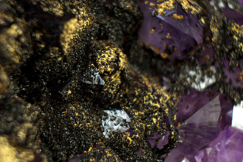 Rare Amethyst Cluster with Black Sugar Coated Druzy and Deep Purple Amethyst, Natural & Ethical 3.1 Kg - 6.8 lb - E2D Crystals & Minerals