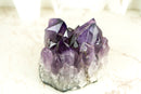 Amethyst-Cluster mit extragroßem lila Drusenmuster in Traubengelee, intakt, freistehend