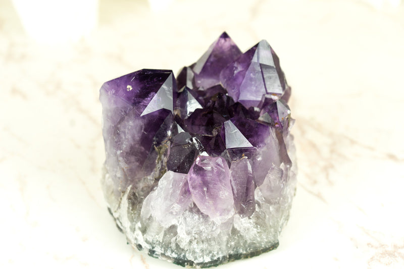 Amethyst-Cluster mit extragroßem lila Drusenmuster in Traubengelee, intakt, freistehend