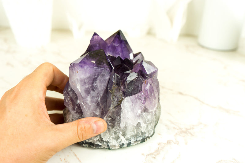 Amethyst-Cluster mit extragroßem lila Drusenmuster in Traubengelee, intakt, freistehend
