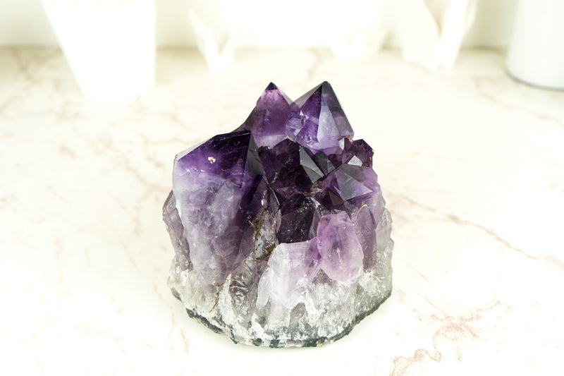 Amethyst-Cluster mit extragroßem lila Drusenmuster in Traubengelee, intakt, freistehend