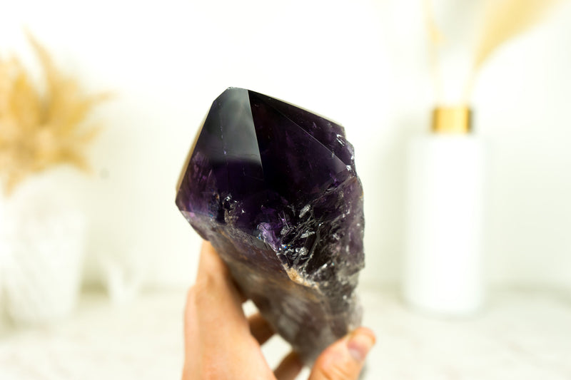 X-Large AAA Bahia Amethyst Scepter with Deep and Dark Purple Natural Bahia Amethyst