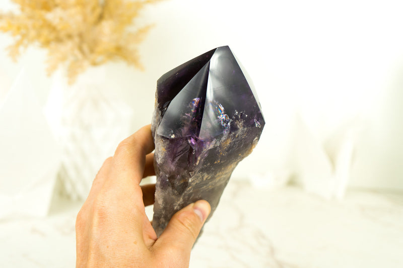 X-Large AAA Bahia Amethyst Scepter with Deep and Dark Purple Natural Bahia Amethyst