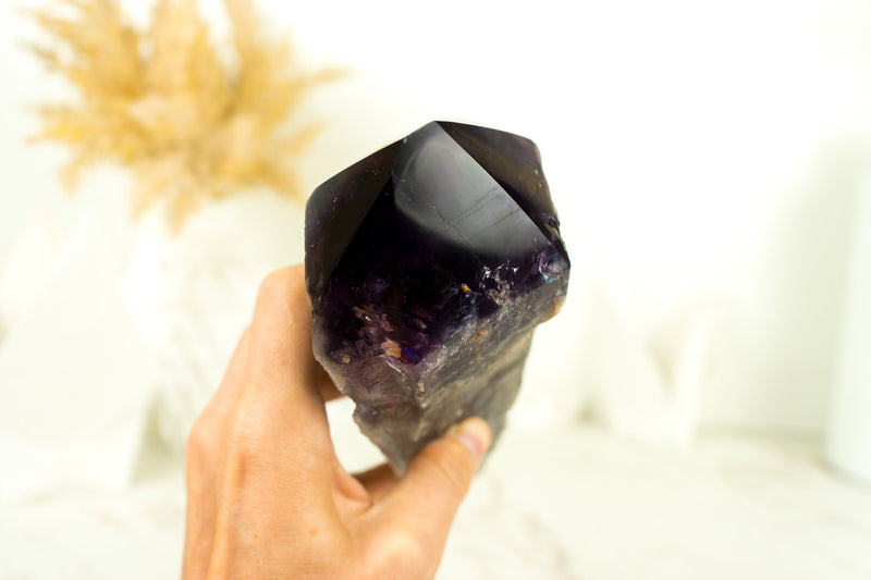 X-Large AAA Bahia Amethyst Scepter with Deep and Dark Purple Natural Bahia Amethyst