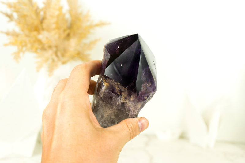 X-Large AAA Bahia Amethyst Scepter with Deep and Dark Purple Natural Bahia Amethyst