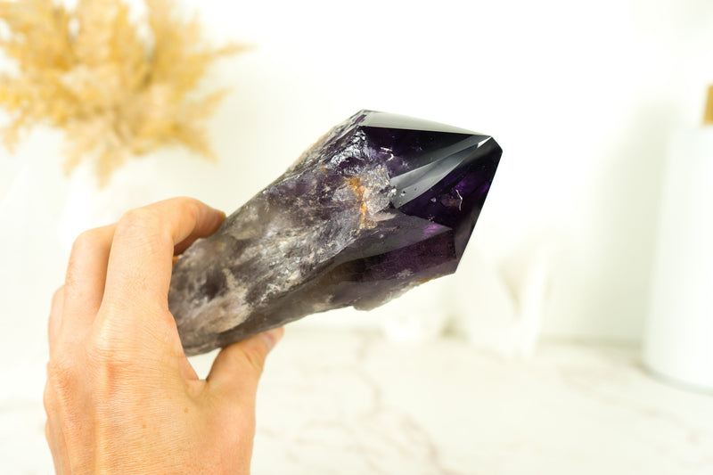 X-Large AAA Bahia Amethyst Scepter with Deep and Dark Purple Natural Bahia Amethyst