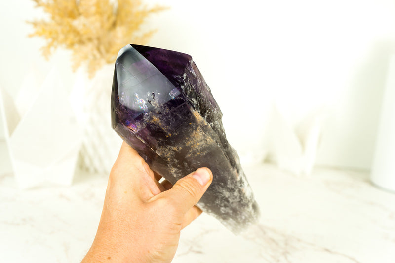 X-Large AAA Bahia Amethyst Scepter with Deep and Dark Purple Natural Bahia Amethyst