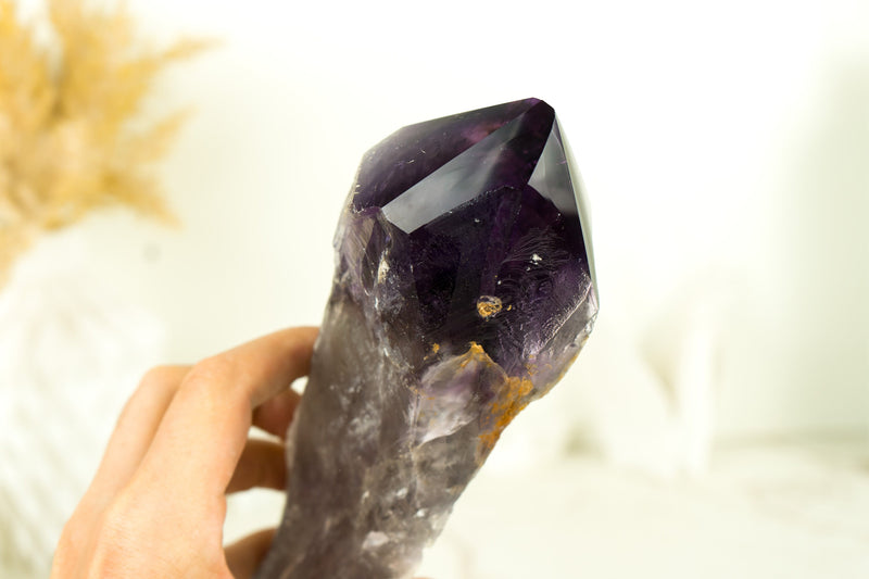XL-Zepter aus tiefviolettem Amethyst, 11 Zoll, roher und natürlicher AAA-Bahia-Amethyst
