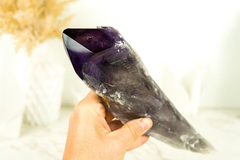 X-Large Deep Purple Amethyst Scepter, 11 In, Raw and Natural AAA Bahia Amethyst