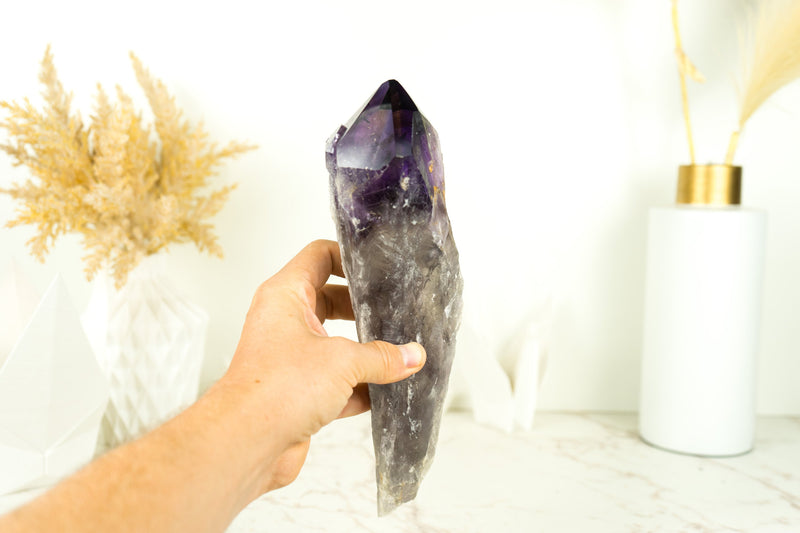 XL-Zepter aus tiefviolettem Amethyst, 11 Zoll, roher und natürlicher AAA-Bahia-Amethyst