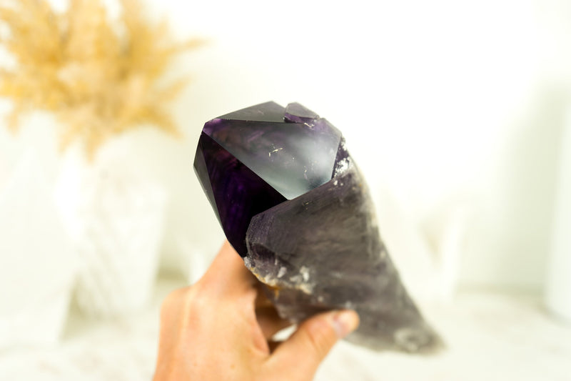 XL-Zepter aus tiefviolettem Amethyst, 11 Zoll, roher und natürlicher AAA-Bahia-Amethyst