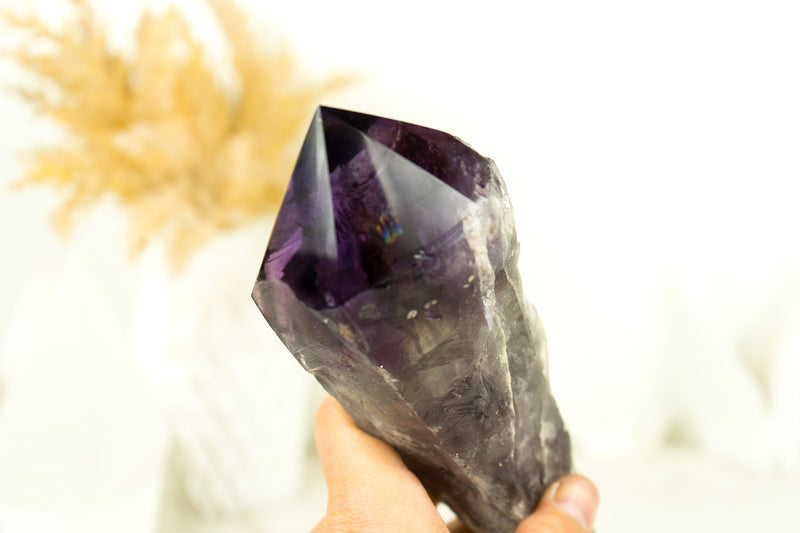 X-Large Bahia Amethyst Scepter, Deep and Dark Purple AAA, Raw and Natural Bahia Amethyst with Phantom Inclusions