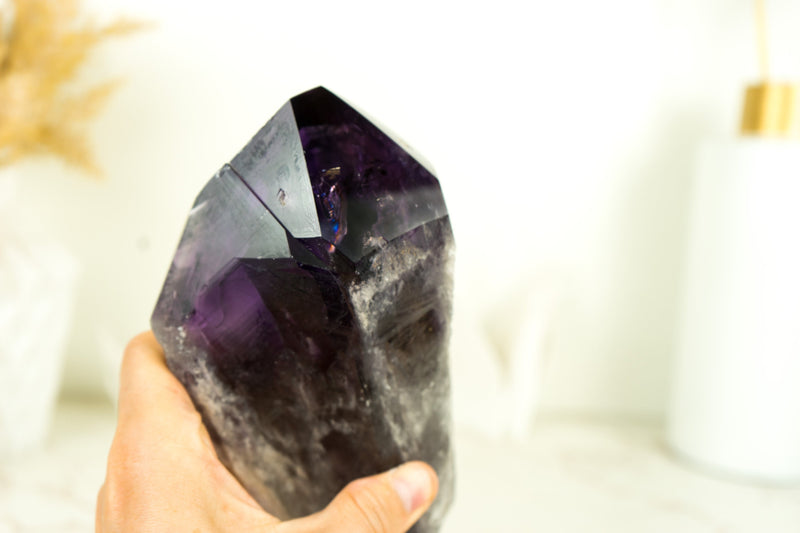 XX-Large Dragon Tooth Bahia Amethyst Scepter, Perfectly Formed Phantom Amethyst, Deep Purple