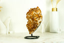 AAA Citrin-Blumenrosetten-Kristallcluster, mit tiefem Orange und perfektem Druzy