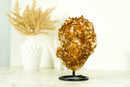 AAA Citrin-Blumenrosetten-Kristallcluster, mit tiefem Orange und perfektem Druzy