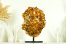 AAA Citrin-Blumenrosetten-Kristallcluster, mit tiefem Orange und perfektem Druzy