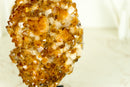 AAA Citrin-Blumenrosetten-Kristallcluster, mit tiefem Orange und perfektem Druzy