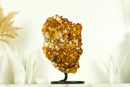 AAA Citrin-Blumenrosetten-Kristallcluster, mit tiefem Orange und perfektem Druzy