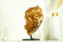 AAA Citrin-Blumenrosetten-Kristallcluster, mit tiefem Orange und perfektem Druzy
