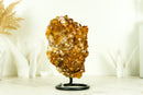 AAA Citrin-Blumenrosetten-Kristallcluster, mit tiefem Orange und perfektem Druzy