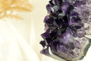 Natural Deep Purple Amethyst Cluster with Large Grape Jelly Amethyst Druzy on Stand