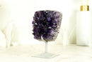 Natural Deep Purple Amethyst Cluster with Large Grape Jelly Amethyst Druzy on Stand