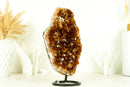 Natural AAA Deep Orange Madeira Citrine Cluster and Citrine Rosettes on Stand