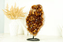 Natural AAA Deep Orange Madeira Citrine Cluster and Citrine Rosettes on Stand