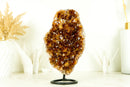 Natural AAA Deep Orange Madeira Citrine Cluster and Citrine Rosettes on Stand