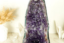 Große, tiefviolette Amethyst-Kristallgeodenkathedrale mit seltener Drusenformation