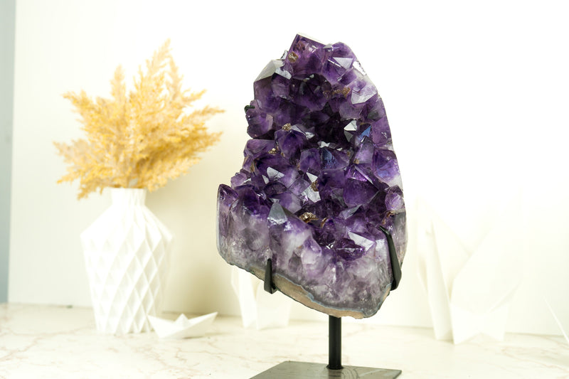 Deep Purple Amethyst Cluster with X-Large Dark Purple Amethyst Druzy and Sparkly Golden Inclusions
