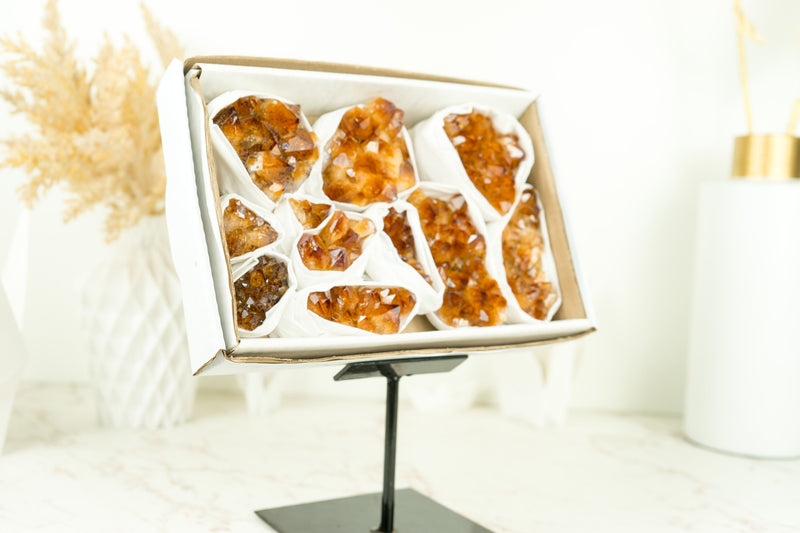 Wholesale AAA Deep Orange Citrine Clusters Flat Box - Mineral Flat, Wholesale Bulk - 11 Clusters, 1.5 Kg - 3.4 lb - E2D Crystals & Minerals