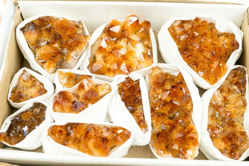 Wholesale AAA Deep Orange Citrine Clusters Flat Box - Mineral Flat, Wholesale Bulk - 11 Clusters, 1.5 Kg - 3.4 lb - E2D Crystals & Minerals