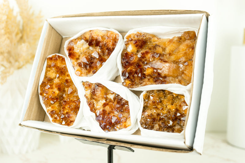 Wholesale Super Extra Quality Citrine Clusters Flat Box with Deep Orange Citrine Druzy Mineral Flat - 5 Clusters, 1230g - 2.7 lb - E2D Crystals & Minerals