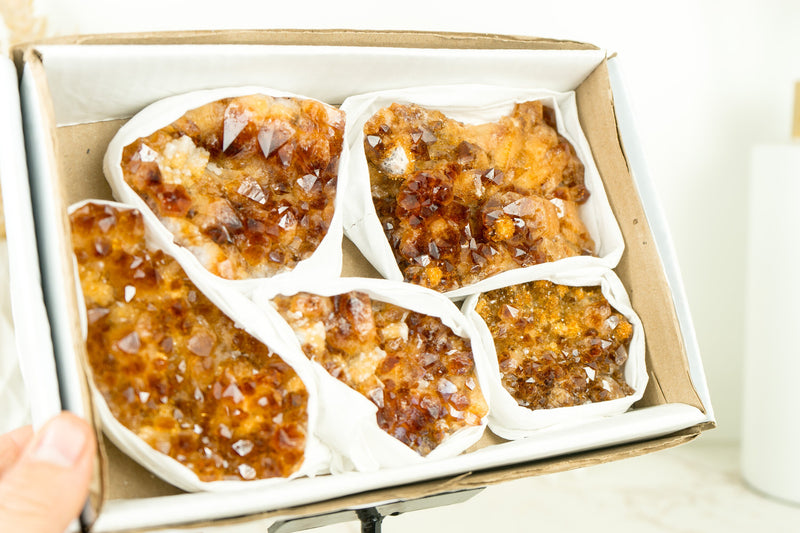 Wholesale Super Extra Quality Citrine Clusters Flat Box with Deep Orange Citrine Druzy Mineral Flat - 5 Clusters, 1230g - 2.7 lb - E2D Crystals & Minerals