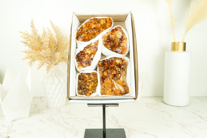 Wholesale Super Extra Quality Citrine Clusters Flat Box with Deep Orange Citrine Druzy Mineral Flat - 5 Clusters, 1230g - 2.7 lb - E2D Crystals & Minerals