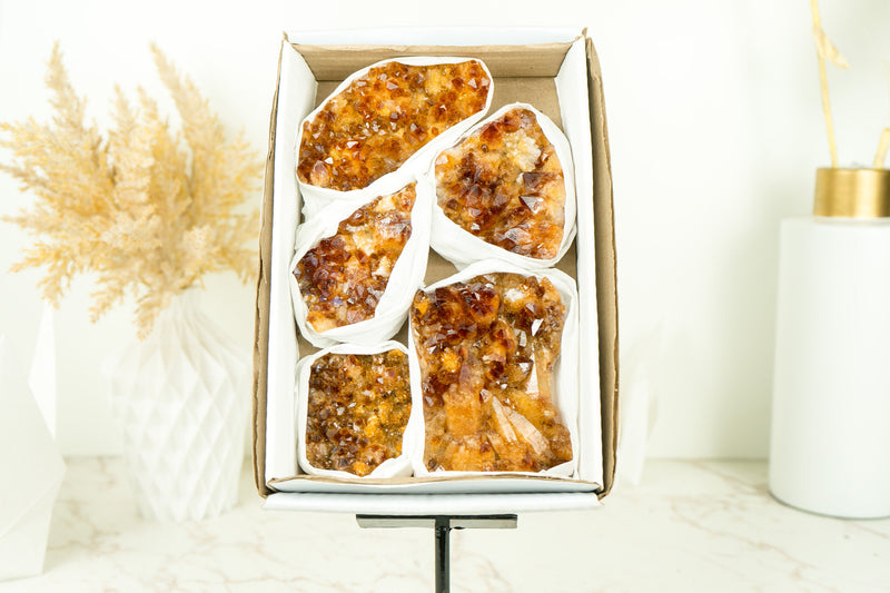 Wholesale Super Extra Quality Citrine Clusters Flat Box with Deep Orange Citrine Druzy Mineral Flat - 5 Clusters, 1230g - 2.7 lb - E2D Crystals & Minerals