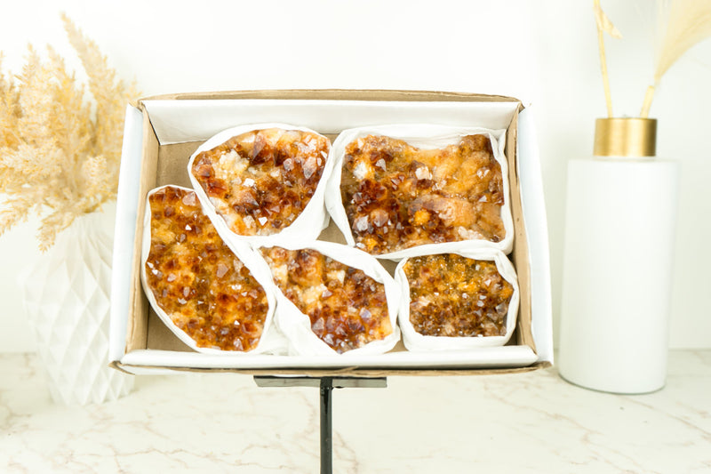 Wholesale Super Extra Quality Citrine Clusters Flat Box with Deep Orange Citrine Druzy Mineral Flat - 5 Clusters, 1230g - 2.7 lb - E2D Crystals & Minerals