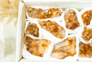 Wholesale Small Super Extra Quality Citrine Clusters Flat Box - Deep Orange Citrine, Wholesale Bulk - 1012g - 2.2 lb - E2D Crystals & Minerals