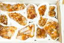 Wholesale Small Super Extra Quality Citrine Clusters Flat Box - Deep Orange Citrine, Wholesale Bulk - 1012g - 2.2 lb - E2D Crystals & Minerals