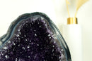 Alle natürlichen Amethyst-Geode mit tiefvioletter Amethyst-Druse und blauer Spitzenachat-Matrix