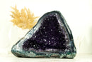Alle natürlichen Amethyst-Geode mit tiefvioletter Amethyst-Druse und blauer Spitzenachat-Matrix